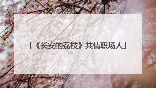 《长安的荔枝》共情职场人