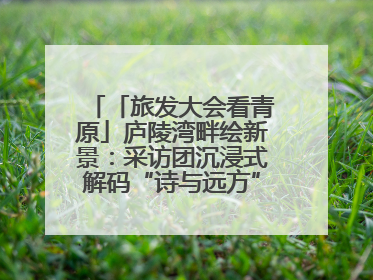 「旅发大会看青原」庐陵湾畔绘新景：采访团沉浸式解码“诗与远方”（图）