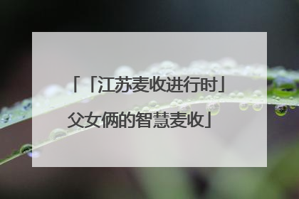 「江苏麦收进行时」父女俩的智慧麦收