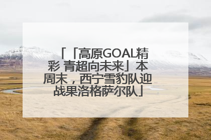 「高原GOAL精彩 青超向未来」本周末，西宁雪豹队迎战果洛格萨尔队