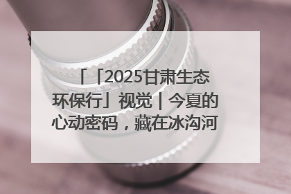 「2025甘肃生态环保行」视觉｜今夏的心动密码，藏在冰沟河的潋滟波光里