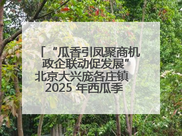 “瓜香引凤聚商机 政企联动促发展”北京大兴庞各庄镇 2025 年西瓜季政企联动产业推介活动圆满举行