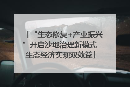 “生态修复+产业振兴”开启沙地治理新模式 生态经济实现双效益