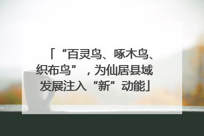 “百灵鸟、啄木鸟、织布鸟”，为仙居县域发展注入“新”动能