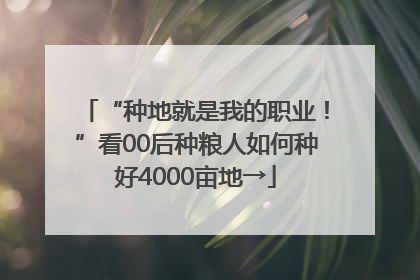 “种地就是我的职业！”看00后种粮人如何种好4000亩地→