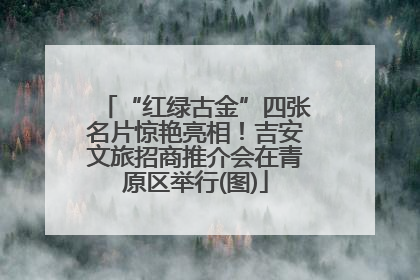 “红绿古金”四张名片惊艳亮相！吉安文旅招商推介会在青原区举行(图)