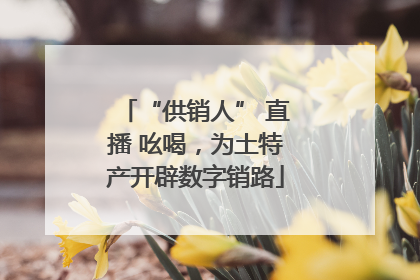 “供销人” 直播 吆喝，为土特产开辟数字销路