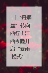 “丹娜丝”转向西行！江西今晚开启“暴雨模式”