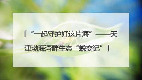 “一起守护好这片海”——天津渤海湾畔生态“蜕变记”