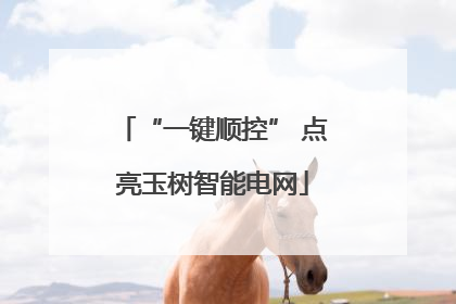 “一键顺控” 点亮玉树智能电网