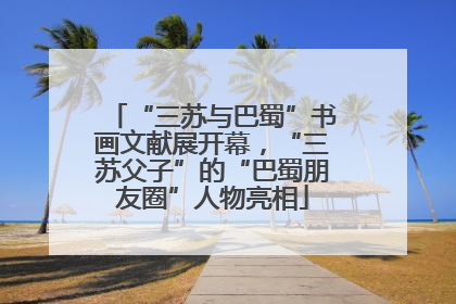 “三苏与巴蜀”书画文献展开幕，“三苏父子”的“巴蜀朋友圈”人物亮相