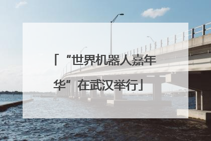 “世界机器人嘉年华”在武汉举行