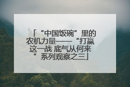 “中国饭碗”里的农机力量——“打赢这一战 底气从何来”系列观察之三