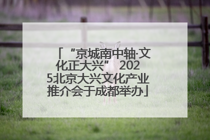“京城南中轴·文化正大兴” 2025北京大兴文化产业推介会于成都举办