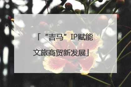 “吉马”IP赋能文旅商贸新发展