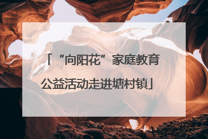 “向阳花”家庭教育公益活动走进塘村镇