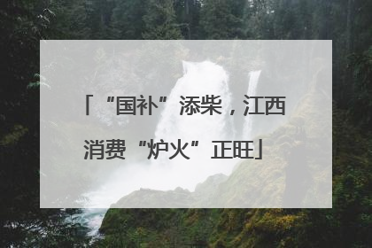 “国补”添柴，江西消费“炉火”正旺