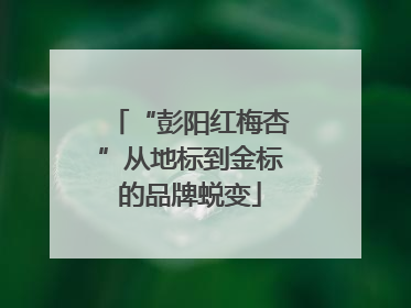 “彭阳红梅杏”从地标到金标的品牌蜕变