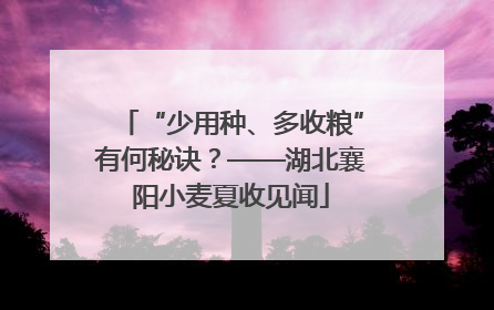 “少用种、多收粮”有何秘诀？——湖北襄阳小麦夏收见闻