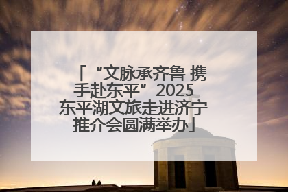 “文脉承齐鲁 携手赴东平”2025东平湖文旅走进济宁推介会圆满举办