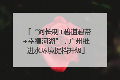 “河长制+碧道碧带+幸福河湖”，广州推进水环境提档升级