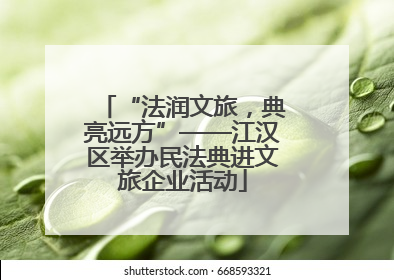 “法润文旅，典亮远方”——江汉区举办民法典进文旅企业活动