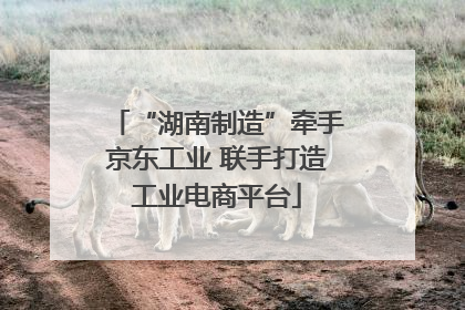 “湖南制造”牵手京东工业 联手打造工业电商平台