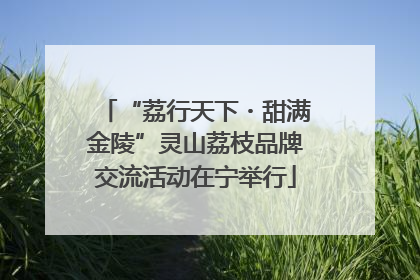 “荔行天下・甜满金陵”灵山荔枝品牌交流活动在宁举行