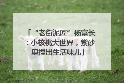 “老街泥匠”杨富长：小核桃大世界，紫砂里捏出生活味儿