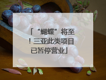 “蝴蝶”将至！三亚此类项目已暂停营业