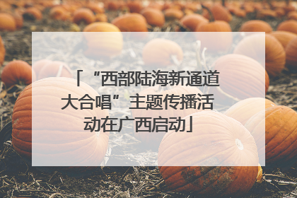 “西部陆海新通道大合唱”主题传播活动在广西启动