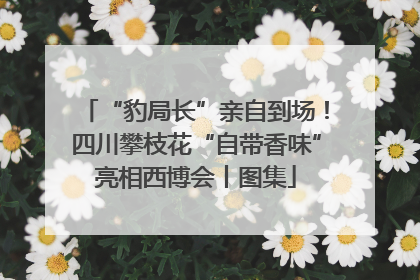 “豹局长”亲自到场！四川攀枝花“自带香味”亮相西博会丨图集