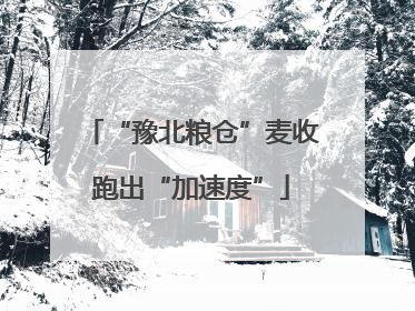 “豫北粮仓”麦收跑出“加速度”