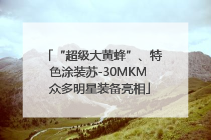 “超级大黄蜂”、特色涂装苏-30MKM 众多明星装备亮相