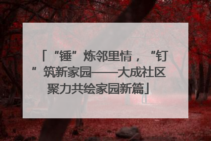 “锤”炼邻里情，“钉”筑新家园——大成社区聚力共绘家园新篇
