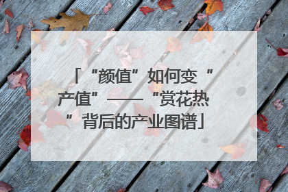 “颜值”如何变“产值”——“赏花热”背后的产业图谱