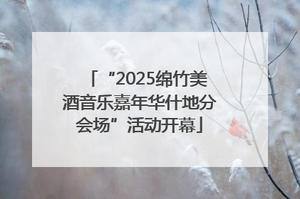 “2025绵竹美酒音乐嘉年华什地分会场”活动开幕
