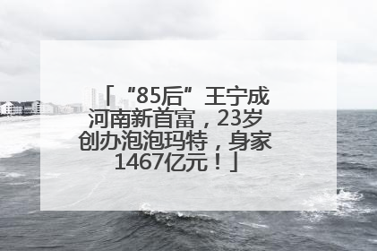 “85后”王宁成河南新首富，23岁创办泡泡玛特，身家1467亿元！