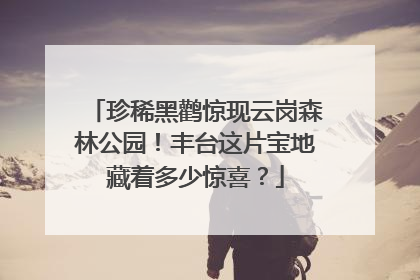 珍稀黑鹳惊现云岗森林公园！丰台这片宝地藏着多少惊喜？