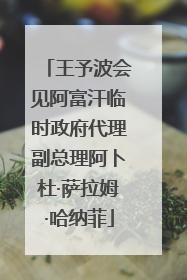 王予波会见阿富汗临时政府代理副总理阿卜杜·萨拉姆·哈纳菲