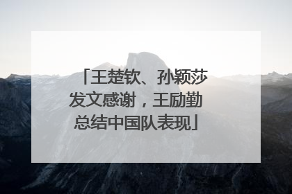 王楚钦、孙颖莎发文感谢，王励勤总结中国队表现