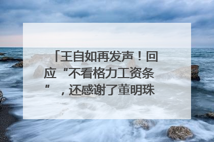 王自如再发声！回应“不看格力工资条”，还感谢了董明珠和雷军｜热财经