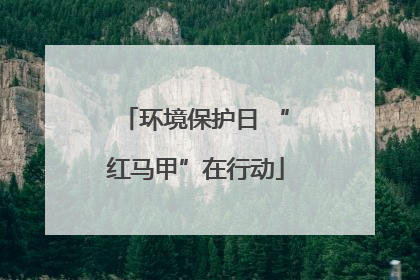 环境保护日 “红马甲”在行动