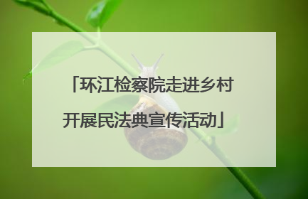 环江检察院走进乡村开展民法典宣传活动