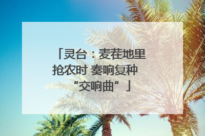 灵台：麦茬地里抢农时 奏响复种“交响曲”