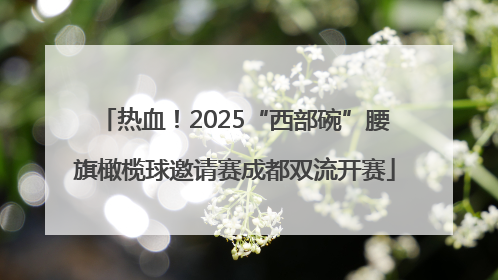 热血！2025“西部碗”腰旗橄榄球邀请赛成都双流开赛