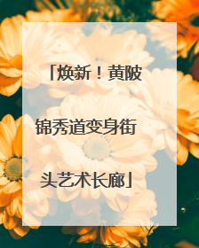 焕新！黄陂锦秀道变身街头艺术长廊