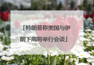 特朗普称美国与伊朗下周将举行会谈