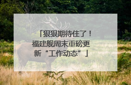 狠狠期待住了！福建舰周末重磅更新“工作动态”