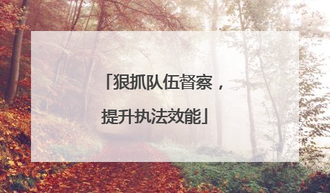 狠抓队伍督察，提升执法效能